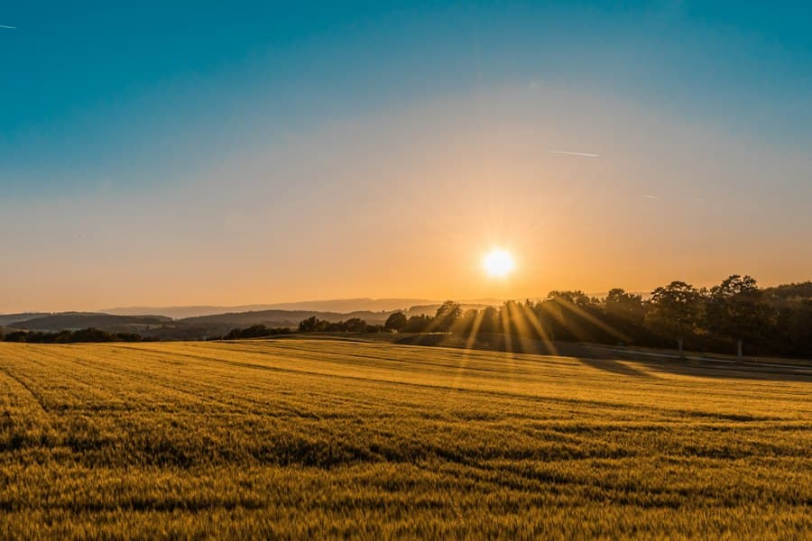 Farmland at sunset